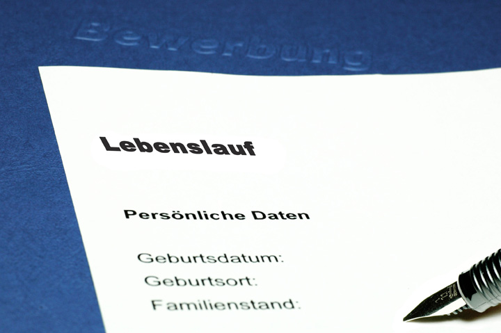Lebenslauf